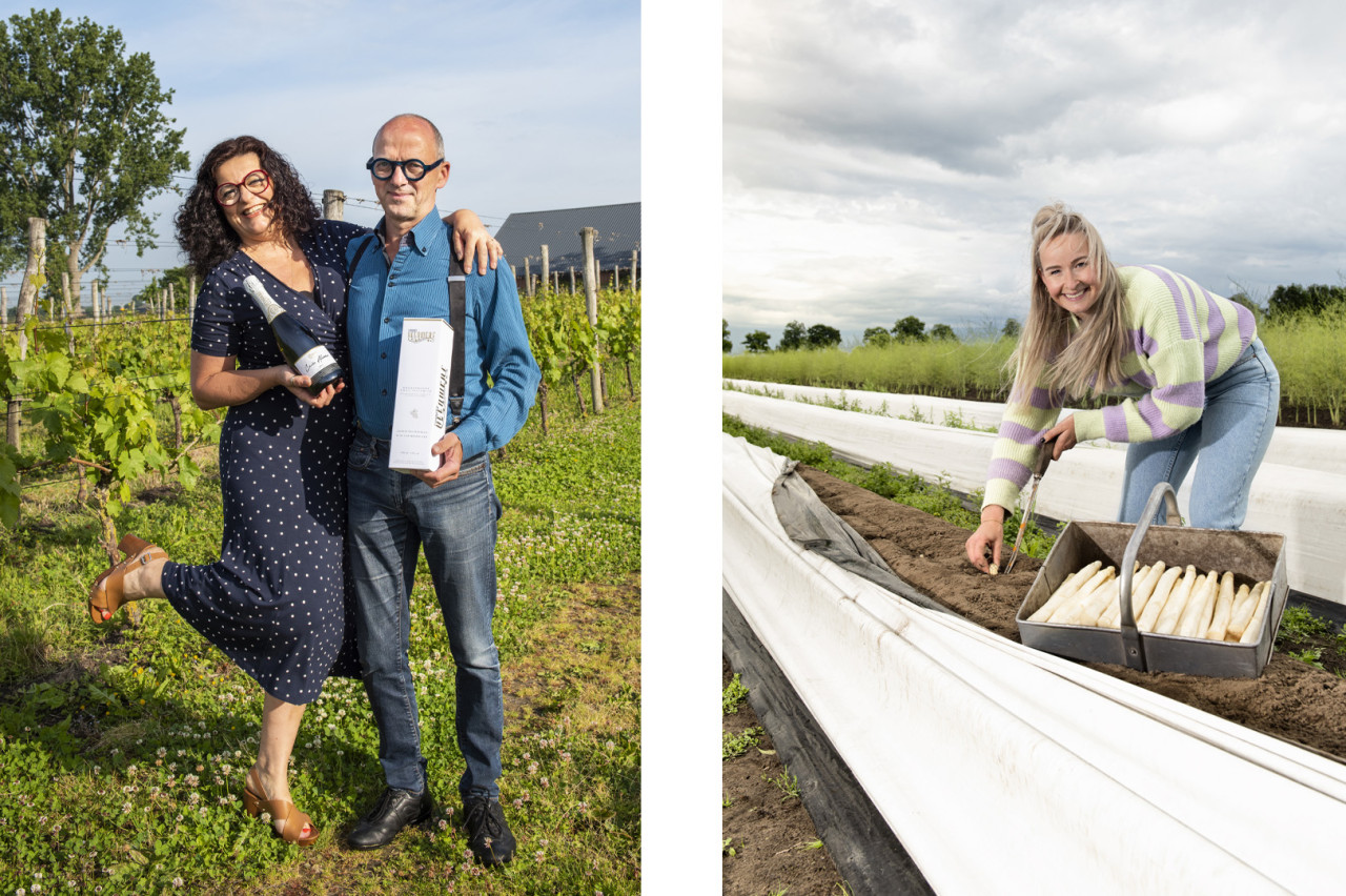 AH Achterberg, Steengoedt, Anke Bot Fotografie, dordrecht, bedrijfsfotografie